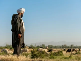 د قومیت پر بنسټ له سویس څخه د افغان کډوالو شړل، ولې پښتانه شړل کیږي؟ 1 4b841506 2365 4aa5 b259 f3395a2e96f8 د قومیت پر بنسټ له سویس څخه د افغان کډوالو شړل، ولې پښتانه شړل کیږي؟